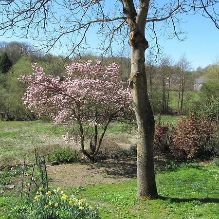 Les Chevrefeuilles Vila Walcourt Quarto foto